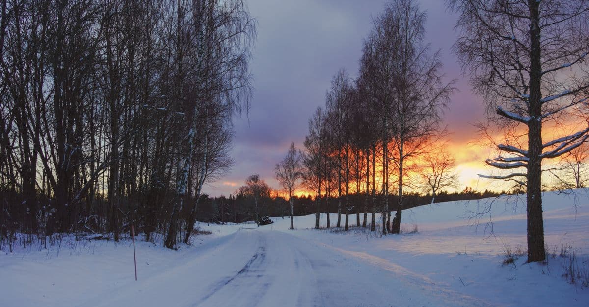 Landsväg — väg 222 mot Värmdö ger hastighetsväxlingar och omkörningsbedömning.
